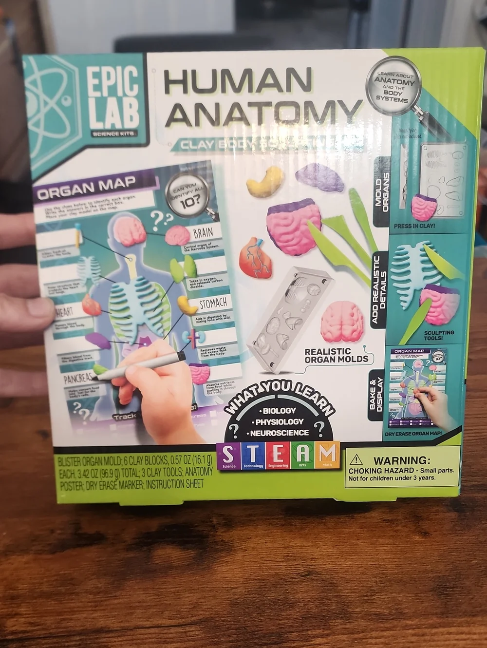 Epic Lab Human Anatomy Clay Body Science Kit - Multicolor Brand New Never Opened